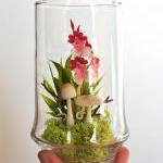 Tiny Red Dancing Lady Orchid Terrarium In..